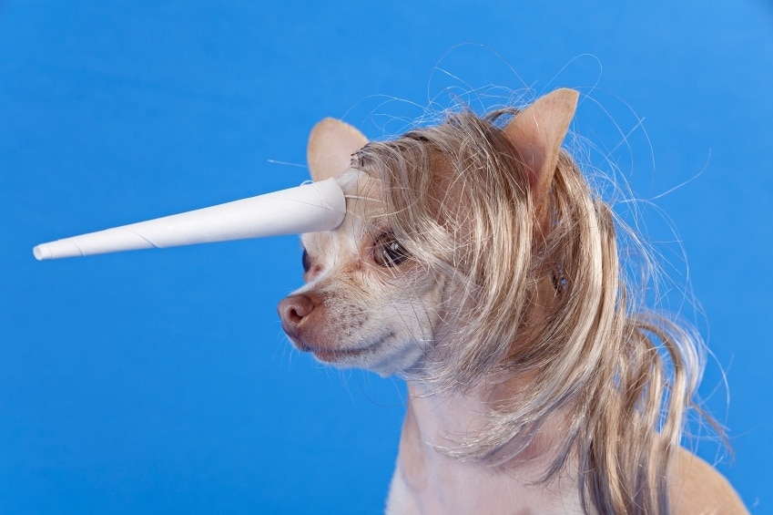 Unicorns & Uncontested Divorce in MA | Walpole Divorce Mediator